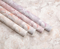 HC71995-15 Обои Home Color Pions (8) ВВ ГТ ФО 1,06*10м сн/пр