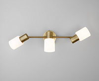 Спот - 20089/3 бронза