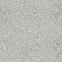 Обои Rash 979244