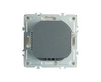 Эмили Розетка 1-местная+ USB + Type C, белый фарфор, RST00-5119-01