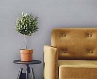 6027-05 Обои Eurodecor Capsule