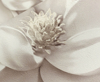 10981-02 Обои Артекс Вивальди