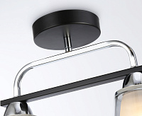 Люстра TR303231/2 BK/CH/SM/FR черный/хром/дымчатый/белый матовый E27*2 max 60W 340*120*250