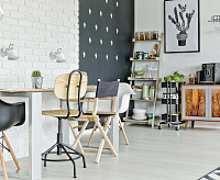 Спот Ринген 547020901