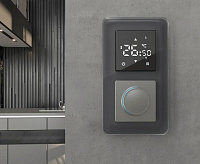 Веркель Рамка на 2 поста (графит/стекло) W0022440