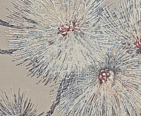 201139R Обои Crandeco Life/Okinava1,06*10м