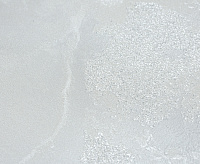 11367-01 Обои Бельканто