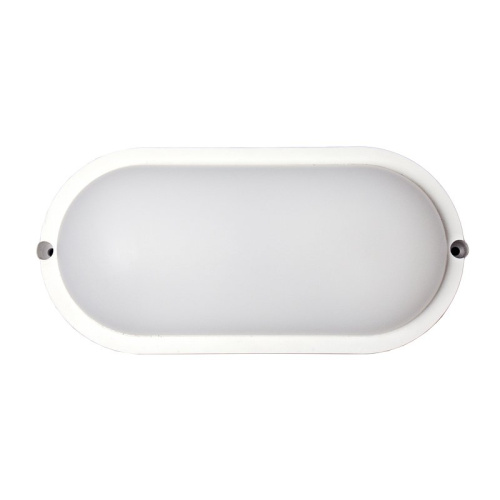 Банник LT-LBWP-01-IP65-12W-6500K LED овальный