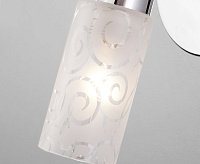 Спот - 20118/1 хром сн/пр