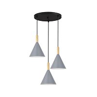 Подвесной светильник SLE1255-433-03 черный/серый