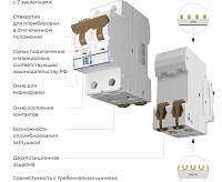 Автоматический выключатель 2P 10А (C) 4,5кА W902P104 Werkel