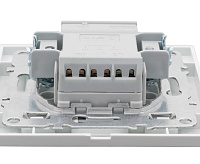Выключатель 2-клавишный 10А EKF ERV10-023-10