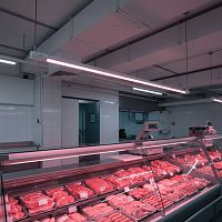 Светильник для подсветки мясных продуктов PLED T5i 1200 14W IP40 FOOD MEAT