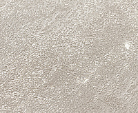 10927-05 Обои Артекс Белинда