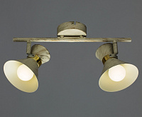 Спот Arte Lamp Baltimore A1406AP-2WG