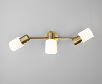 Спот - 20089/3 бронза