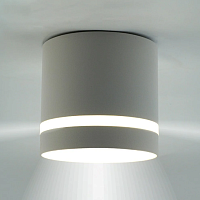 Светильник потолочный GUSTA 1xGX53-82x70-220-IP20 белый