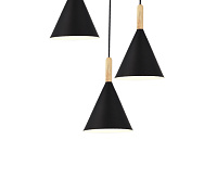 Подвесной светильник SLE1255-423-03 черный