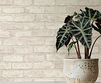 1093-000 Обои Eurodecor Loft