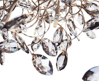 Люстра светодиодная 18534/21 RBP LED FGD+SMG