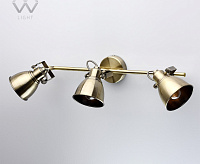 Спот Ринген 547020603