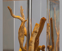 Настольная лампа 3200/09 TL-1 сн/пр