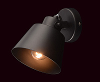 Спот Ринген 547021201