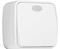 Выключатель 1-клавишный 10А с индикатором EKF EGV10-121-10