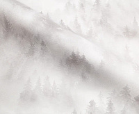 HC71960-21 Обои Home Color My Forest (8) ВВ ГТ ФО 1,06*10м