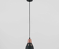 Подвесной светильник 50173/1 черный