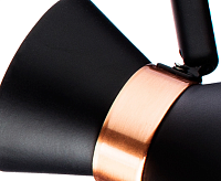 Спот Arte Lamp Baltimore A1406PL-3BK