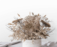 Обои Neva Victoria Stenova 281580 (6)