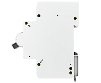 Автоматический выключатель 2P 125А (D) 15кА ВА 47-125 EKF PROxima