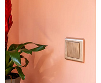 Веркель Рамка на 1 пост (шампань/стекло) WL01-Frame-01/W0011111