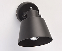 Спот Ринген 547021201