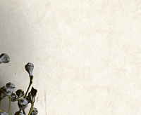 9083-01 Обои Monte Solaro Majorelle