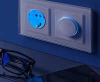 Веркель Диммер c подсветкой (белый) WL01-DM600-LED