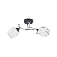 Люстра  1076/2 MIX(WT+CR4; BK+CR2)