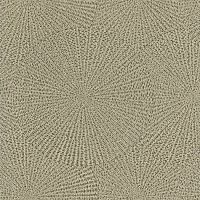 Обои Rash 979213