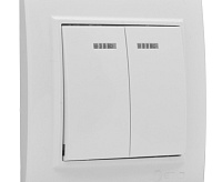 Выключатель 2-клавишный с индикатором 10А EKF ERV10-123-10