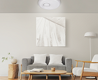 Накладной светильник PPB TUBES 60W 4000K D480*80 IP20 JAZZway