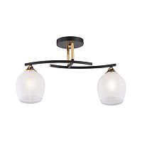 Люстра 7815/2 BK+FGD