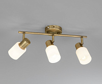 Спот - 20089/3 бронза