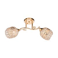 Люстра 4911/2 FGD