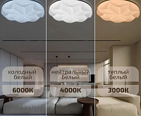 Накладной светильник Лилия 60W 3000-6000K НББД-RC-Р-1 с ДУ