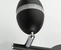 Спот Этингер 704022902