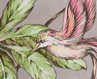 Обои Палитра HC71541-28 Colibri 