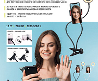 Настольная лампа TL-604B