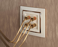 Веркель Акустическая розетка (сл.кость) WL03-AUDIOx4