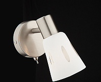 Спот - 20041/1 сатин/никель